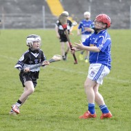 Feile-Weekend-2016-37