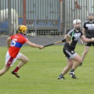 2018-SHC-PP-v-Abbey-20