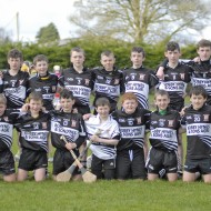 Feile-Hosts-2017-01