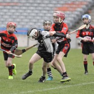 U12s in Croke Park