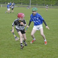 Feile-Hosts-2017-20