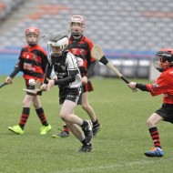 U12s in Croke Park