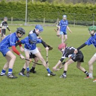 Feile-Hosts-2017-14