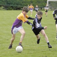 Feile Football Hosts 2017