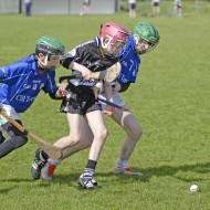 Feile-Hosts-2017-22