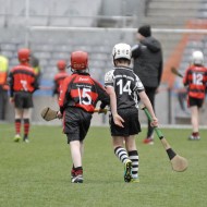 U12s in Croke Park