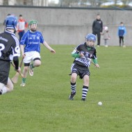 Feile-Hosts-2017-09