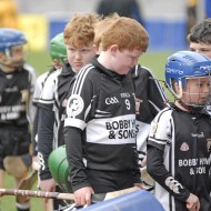 U12s in Croke Park