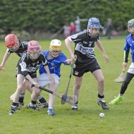 Feile-Hosts-2017-12