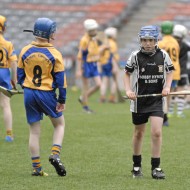 U12s in Croke Park