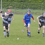 Feile-Hosts-2017-19