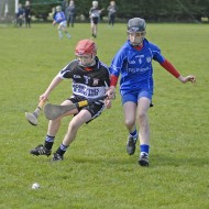 Feile-Hosts-2017-25