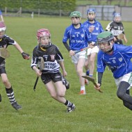 Feile-Hosts-2017-21