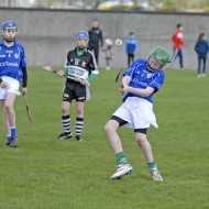 Feile-Hosts-2017-06