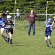 Feile-Hosts-2017-05