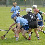 U12-Final-2019-21