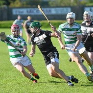 SHC 2020, Pearses v Mullagh