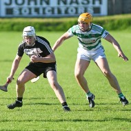 SHC 2020, Pearses v Mullagh