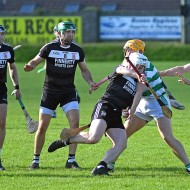 SHC 2020, Pearses v Mullagh