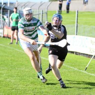 SHC 2020, Pearses v Mullagh