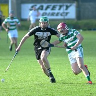 SHC 2020, Pearses v Mullagh