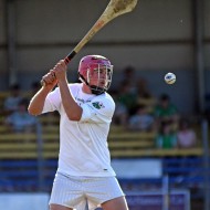 SHC 2020, Pearses v Mullagh