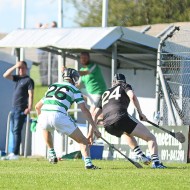 SHC 2020, Pearses v Mullagh
