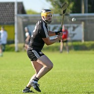 SHC 2020, Pearses v Mullagh