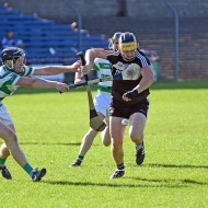 SHC 2020, Pearses v Mullagh
