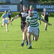 SHC 2020, Pearses v Mullagh