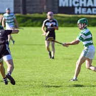 SHC 2020, Pearses v Mullagh