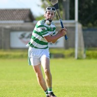 SHC 2020, Pearses v Mullagh