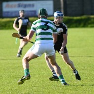 SHC 2020, Pearses v Mullagh