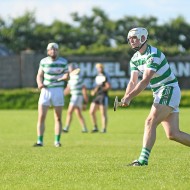 SHC 2020, Pearses v Mullagh