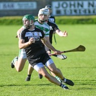 SHC 2020, Pearses v Mullagh