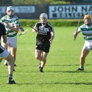 SHC 2020, Pearses v Mullagh