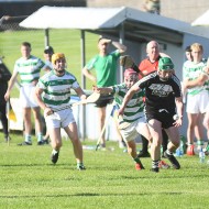 SHC 2020, Pearses v Mullagh