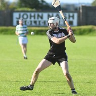SHC 2020, Pearses v Mullagh