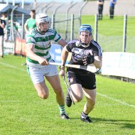 SHC 2020, Pearses v Mullagh