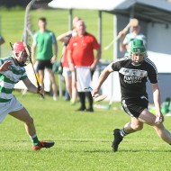 SHC 2020, Pearses v Mullagh