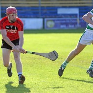 SHC 2020, Pearses v Mullagh