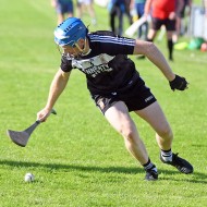 SHC 2020, Pearses v Mullagh