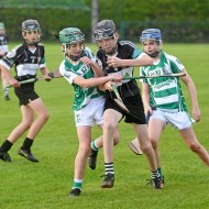 U12 Hurling Final