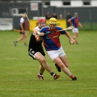 2022-SBHC-PP-v-AF-24