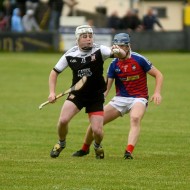 2022-SBHC-PP-v-AF-18