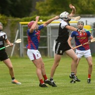 2022-SBHC-PP-v-AF-28