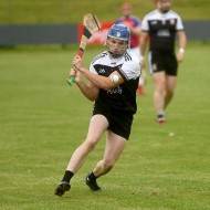 2022-SBHC-PP-v-AF-25