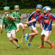 Pearses U12 Hurling Blitz