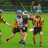 U10 Hurling 2015