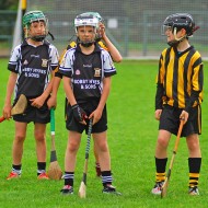 U10 Hurling 2015